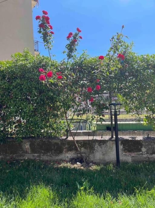Casa Ale 5 Terre Guest House Con Giardino La Spezia Exterior foto